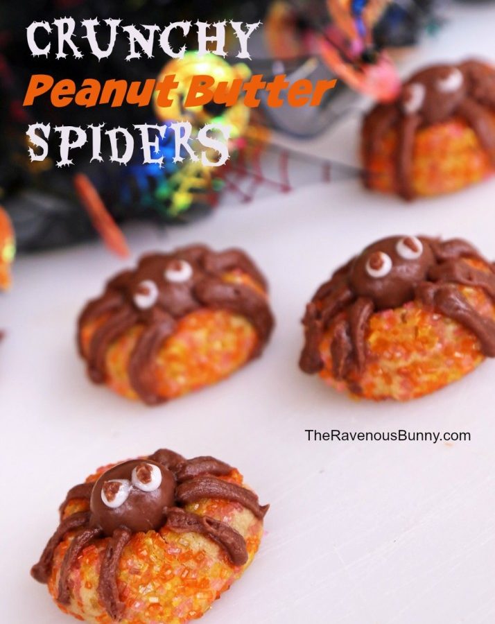 Halloween Spider Cookies